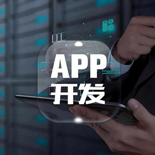 it外包 軟件開發 駐場開發
